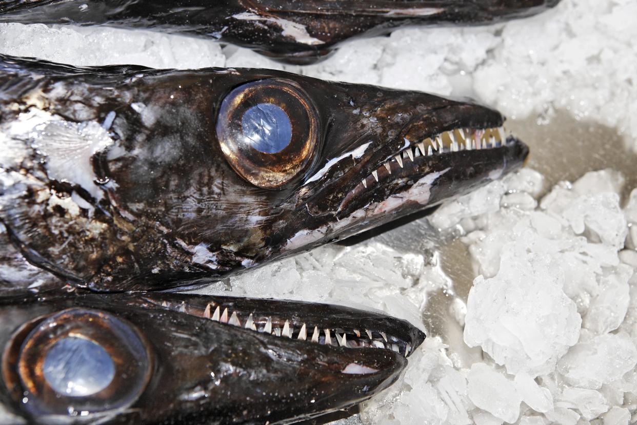 Black scabbard, or black scabbardfish, is a popular meal on the island of Madeira. But how does it taste? (Photo: Getty Creative)