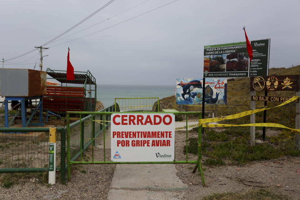 Un cartel que dice "Cerrado preventivamente por gripe aviar" cuelga de una puerta en la playa cerca de Viedma, Argentina, el lunes 28 de agosto de 2023. Expertos sanitarios del gobierno sospechan que la gripe aviar está matando leones marinos a lo largo de toda la costa atlántica de Argentina, lo que provocó que las autoridades cerraran muchas playas para evitar que el virus se propagara aún más. (Foto AP/Juan Macri)