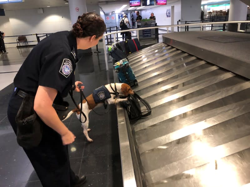 FOTO DE ARCHIVO de una oficial de aduanas estadounidense y su perro en el aeropuerto internacional de Chicago