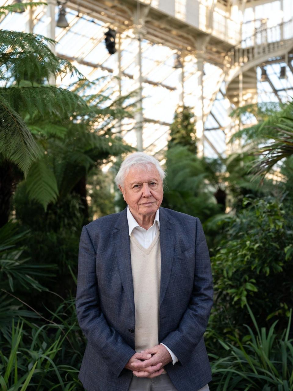 Sir David Attenborough (By Michael Leckie)