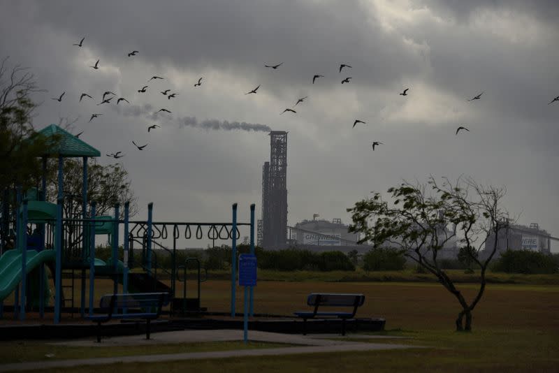 FILE PHOTO: Cheniere Texas LNG facility