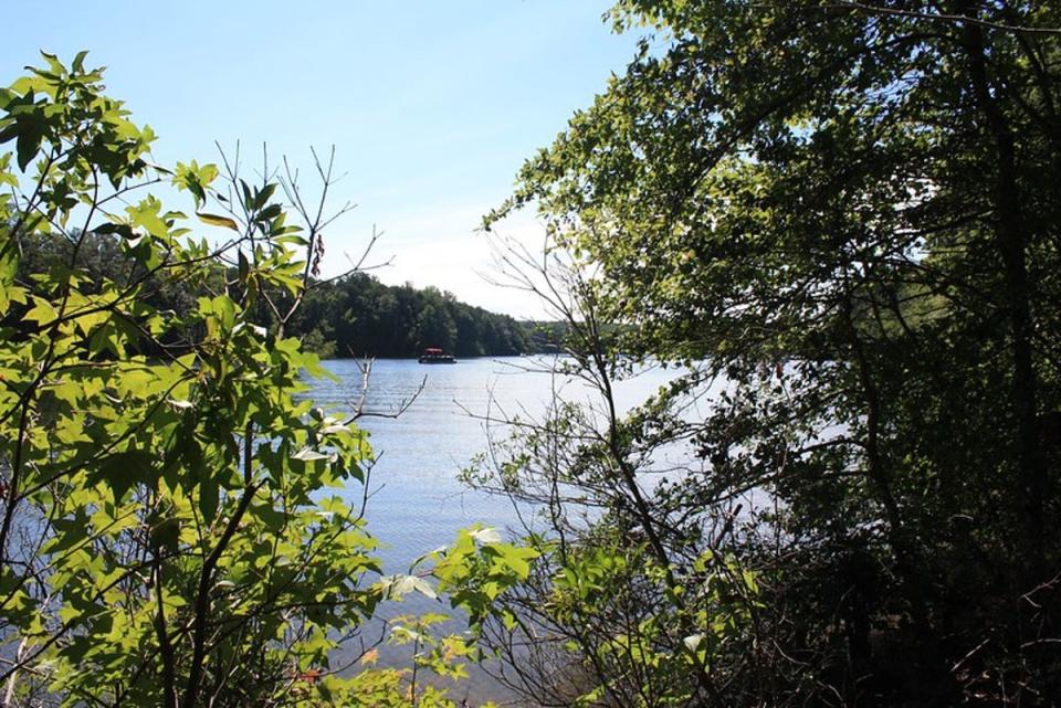 Lake Anna in Virginia spans 200 miles and has 13,000 acres of water. The Virginia Department of Health announced an investigation into several illnesses stemming from the lake over Memorial Day weekend (Virginia State Parks)