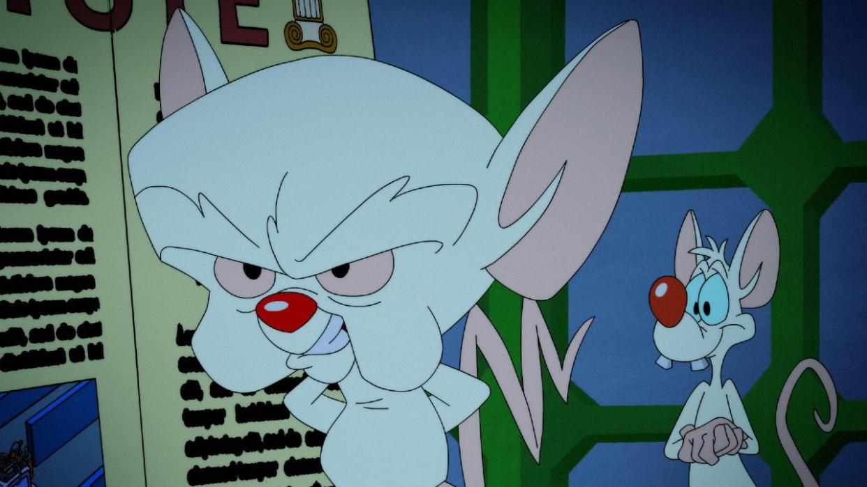  Pinky and the Brain on Animaniacs 