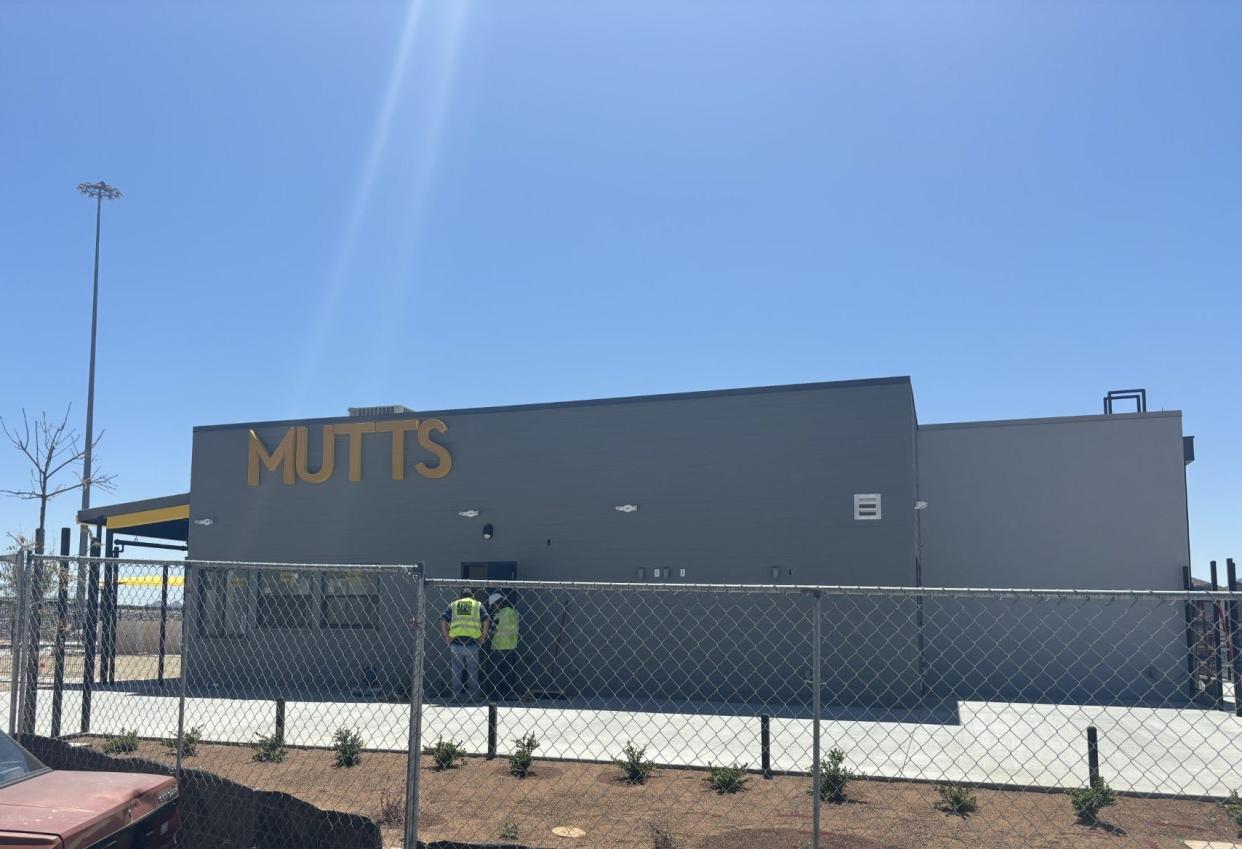Construction of Mutts Canine Cantina, at 460 Vin Rambla Drive, in the Montecillo neighborhood, is coming along.
