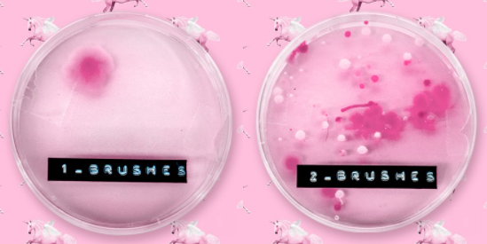 Microbial growth of a makeup brush that is cleaned after every use (left), vs. that of a makeup brush that is rarely cleaned (right)