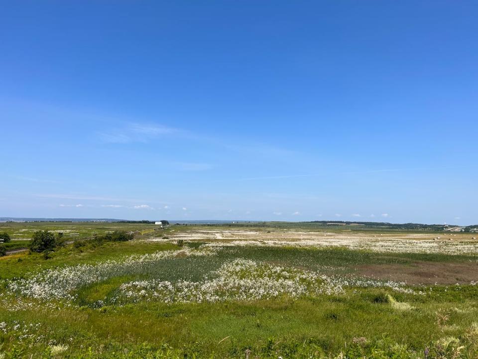 This property on the New Brunswick-Nova Scotia border used to house the Acadian village of Beaubassin and later the British Fort Lawrence.