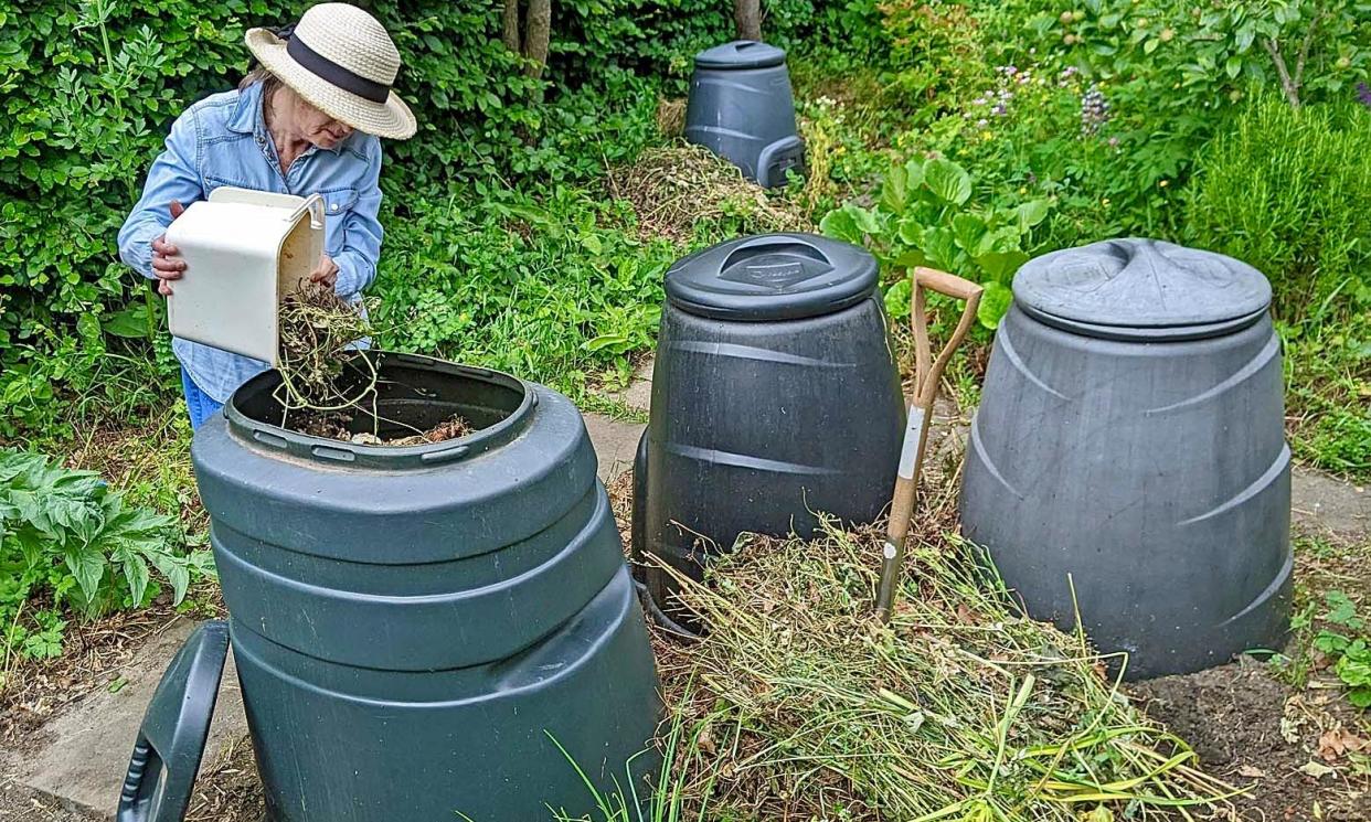 <span>Compost bins - the hottest biodiversity 'hot-spots' in the garden.</span><span>Photograph: Phil Gates</span>