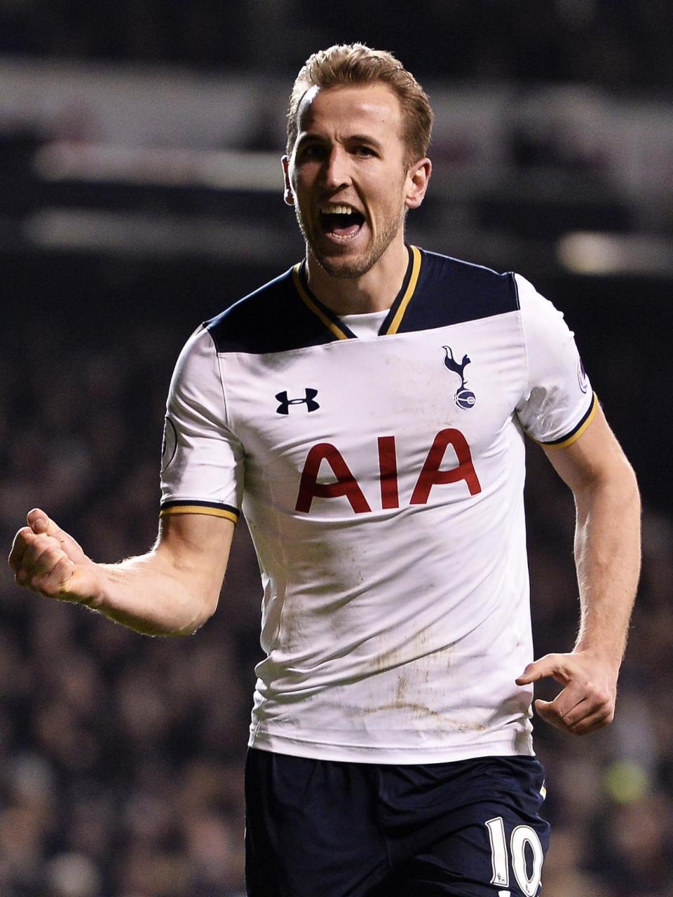 Kane has enjoyed another superb season at Spurs (Getty)