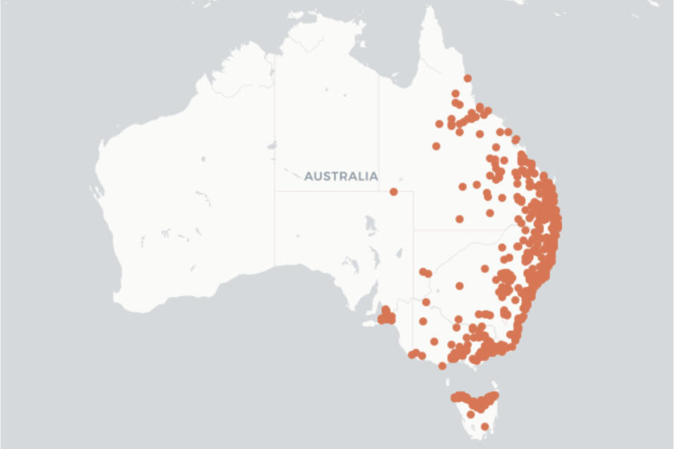 A map of Australia showing where ladybeetles are found. 