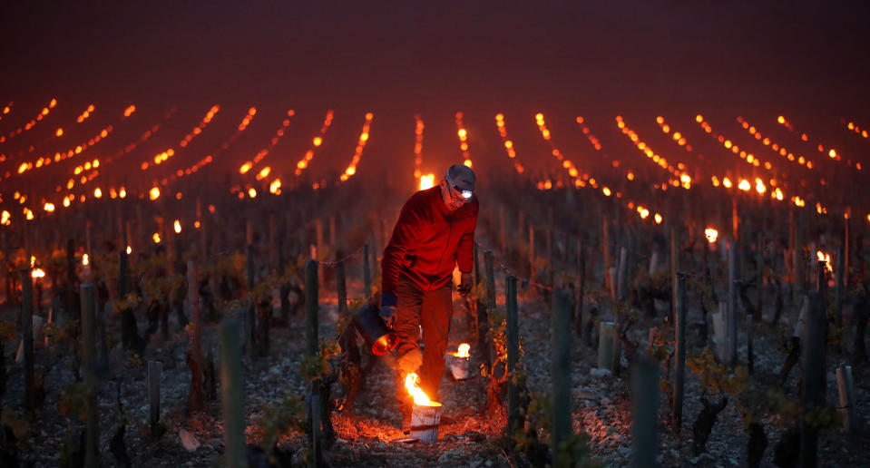 Heating the vineyards