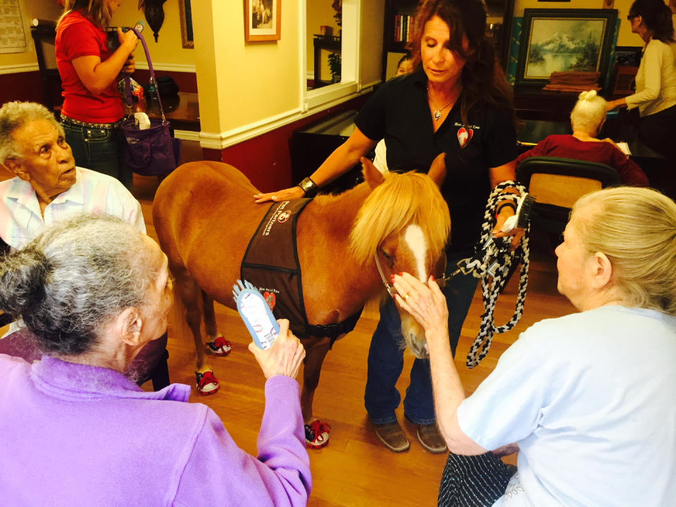 A therapy horse brings comfort and joy to seniors in Phoenix.