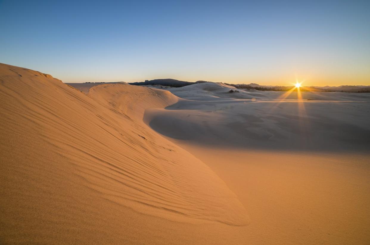 Oregon's Umpqua Dunes inspired the desert planet Arrakis in Frank Herbert's 'Dune.' <a href="https://www.gettyimages.com/detail/news-photo/sand-dunes-at-umpqua-dunes-oregon-dunes-national-recreation-news-photo/1150491467?adppopup=true" rel="nofollow noopener" target="_blank" data-ylk="slk:VWPics/Universal Images Group via Getty Images;elm:context_link;itc:0;sec:content-canvas" class="link ">VWPics/Universal Images Group via Getty Images</a>