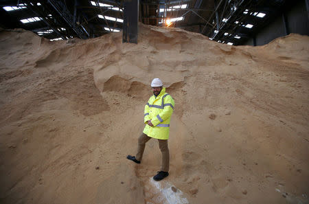 Tate & Lyle senior vice-president of sugars, Gerald Mason, poses for a portrait on raw cane sugar at the company's refinery in east London, Britain October 10, 2016. REUTERS/Peter Nicholls