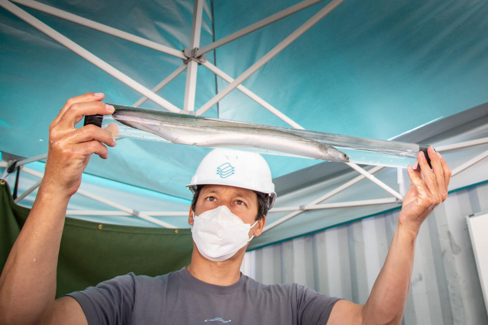 In a study with Pacific Northwest National Laboratory, Natel co-founder and CTO, Abe Schneider, inspects an American eel in a water-filled tube following its safe passage through the Restoration Hydro Turbine (RHT), in 2021.<span class="copyright">Courtesy of Natel Energy</span>