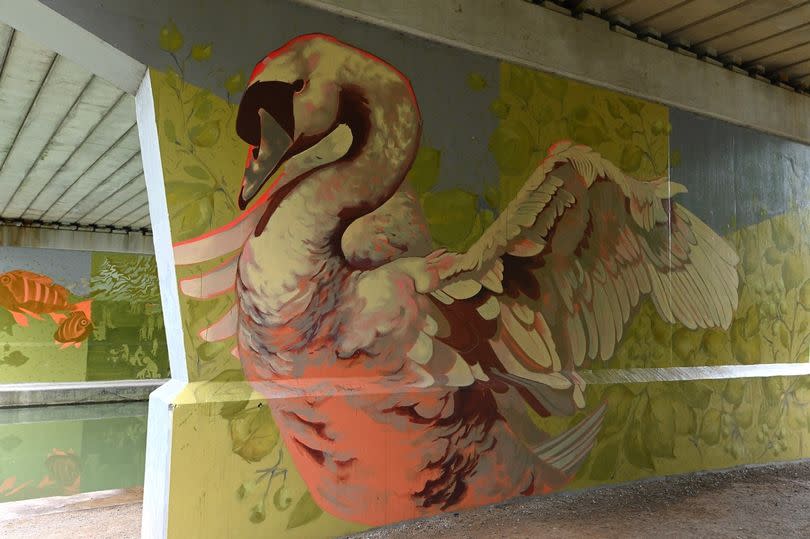 Four murals under Beverley Beck Bridge took artist Emma Garness 23 days to paint