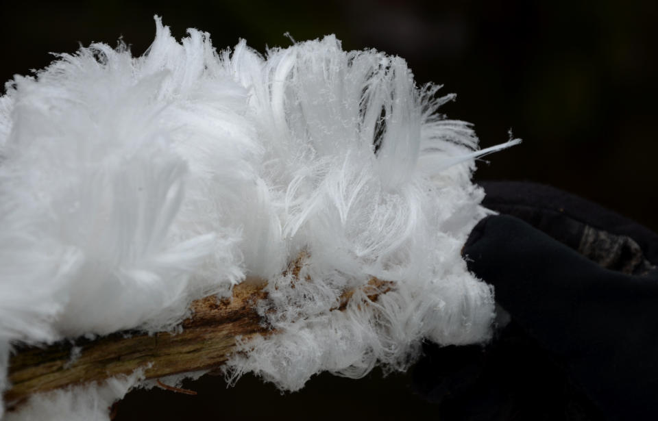 Die feinen Eisfäden sehen teilweise aus wie Wolle oder menschliche Frisuren. (Symbolbild: Getty)