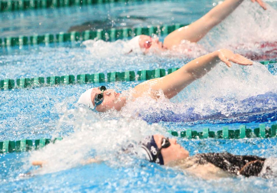 Newark Catholic's Isabella Pribonic qualified for the Division II state meet in the 100 breaststroke and 200 individual medley.