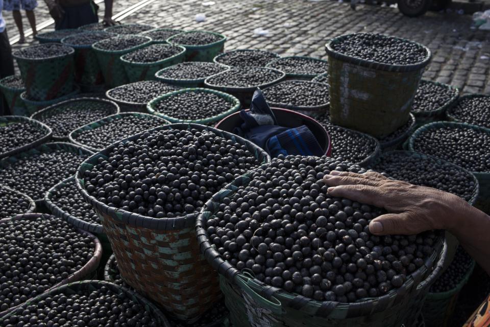 In this Sept. 7, 2019 photo, a vendor places his hand on acai berries at the Ver-o-Peso riverside market in Belém, Brazil. Belém is the epicenter for the trade of the oily purple acai that is a staple of native Amazon cuisine and a global superfood. (AP Photo/Rodrigo Abd)