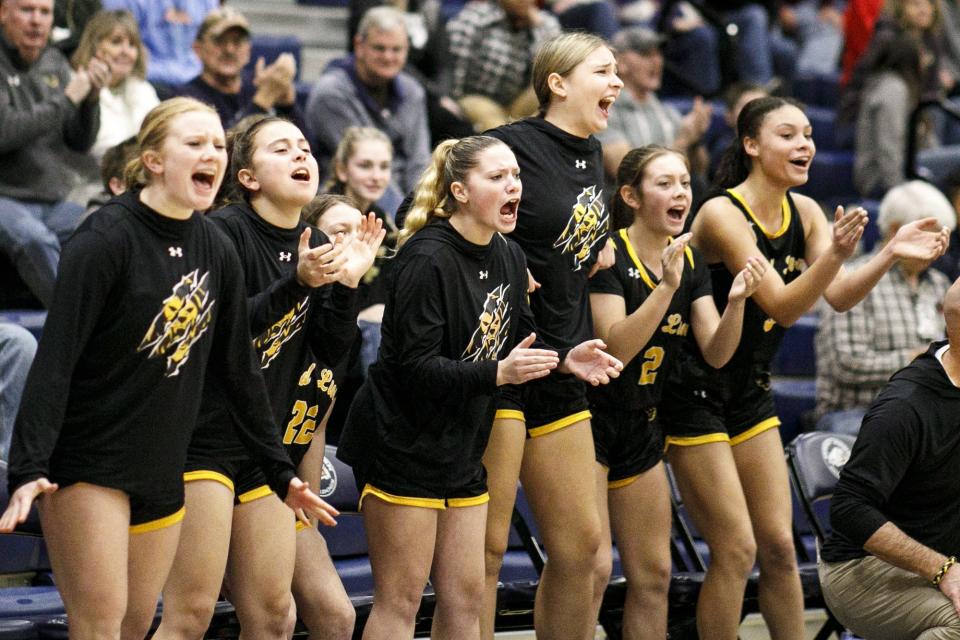 Red Lion's bench cheers after a basket. Red Lion defeats Northeastern 74-57 in the opening round of the YAIAA girls' basketball tournament at West York Area High School, Saturday, February 11, 2023.