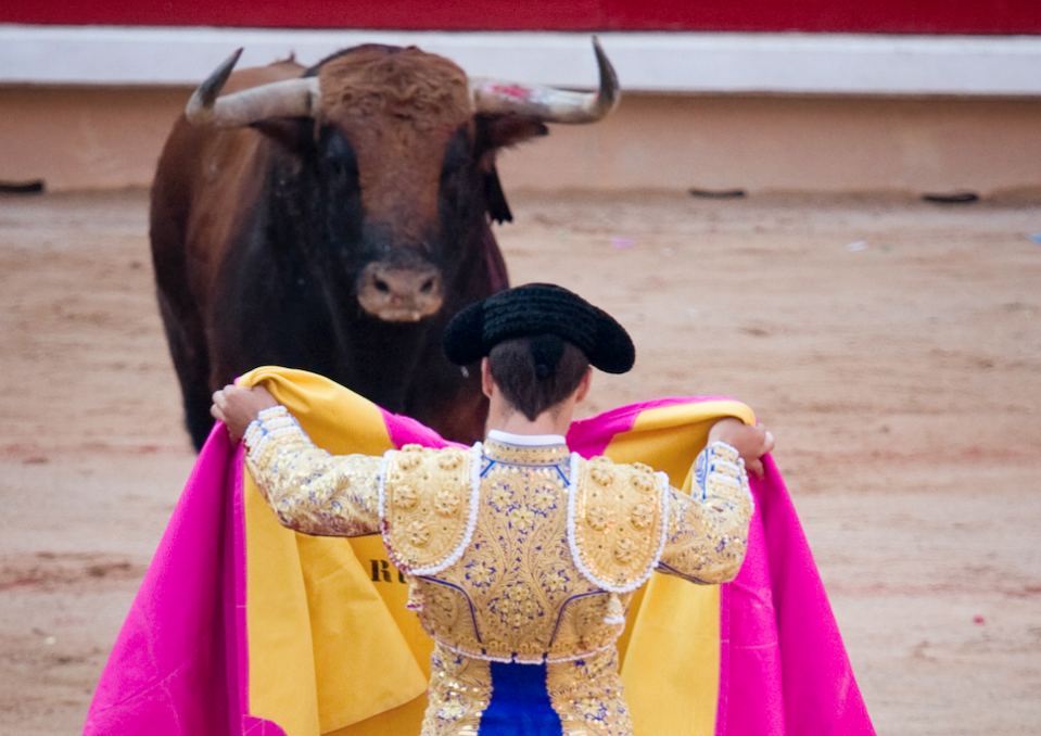 Wall Street is bullish. (Getty)