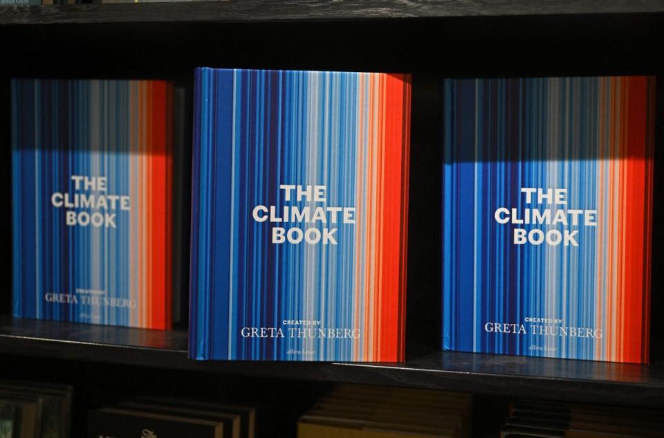 Copies of Greta Thunberg’s ‘The Climate Book’ for sale in London on October 27 2022 (AFP via Getty)