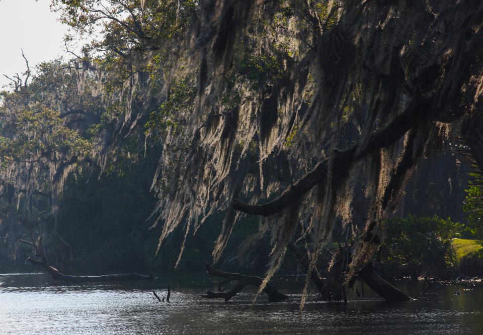 Scenes from the Indian River Lagoon on Monday, March 13, 2023. 