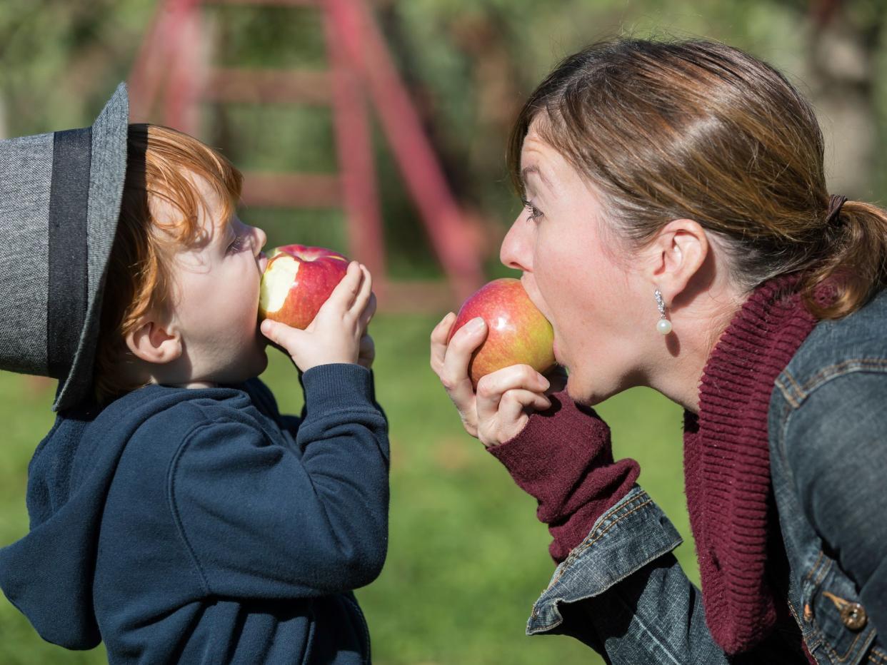 Young Mother and her Son Picking Apples and having fun in orchard
