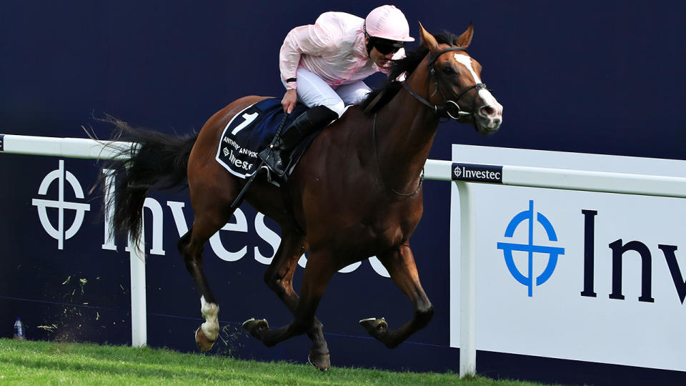 English Derby winning horse Anthony Van Dyck has been tipped by former Cup winner Chris Munce as a hot favourite for the Melbourne Cup. (Photo by Andrew Redington/Getty Images)