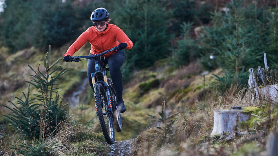 Mountain biker on trail with Alpine trees