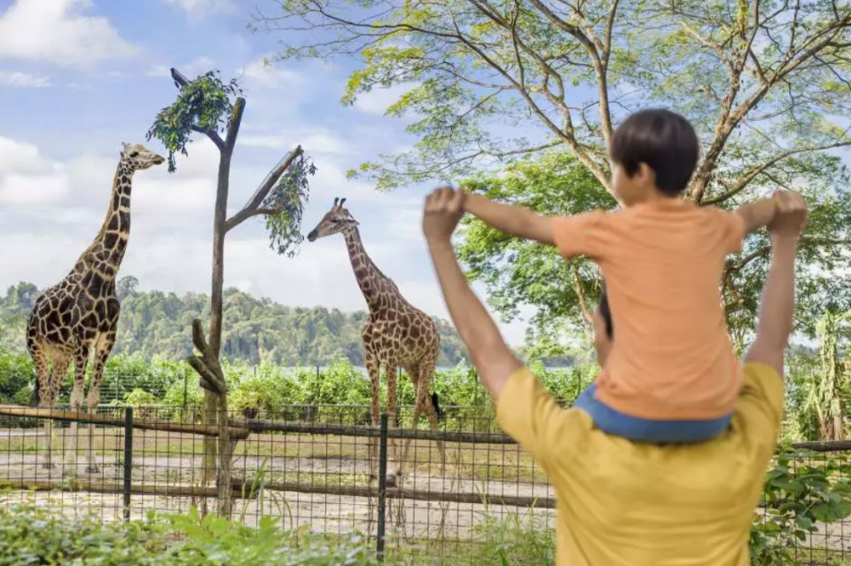 新加坡旅遊｜萬態野生動物世界套票低至6折！$689去勻4個園區、包括今年5月新開飛禽公園