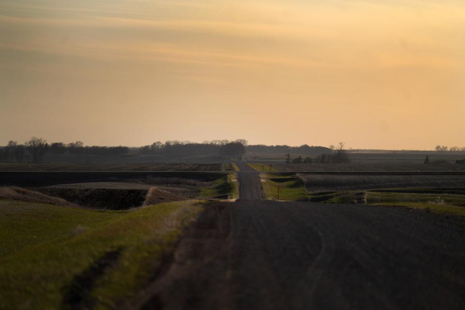 Crop fields line a long, solitary gravel road just outside of Pipestone, Minn., on Wednesday, May 3, 2023. (AP Photo/Jessie Wardarski)