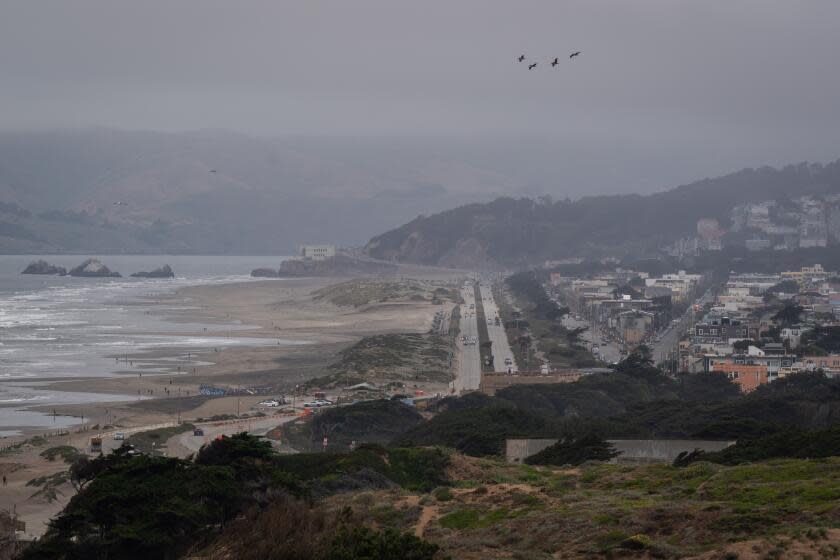 SAN FRANCISCO, CALIFORNIA - JUNE 26: Ocean Beach and the Outer Sunset district are seen from Fort Funston on June 26, 2023 in San Francisco, California. A recent U.S. Geological Survey study concludes that "by 2100, the model estimates that 25-70 percent of California's beaches may become completely eroded due to sea level rise scenarios of .5 to 3.0 meters, respectively." (Photo by Loren Elliott/Getty Images)