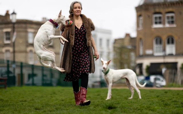 Battersea Dogs Home puppy Barney can't stop eating women's