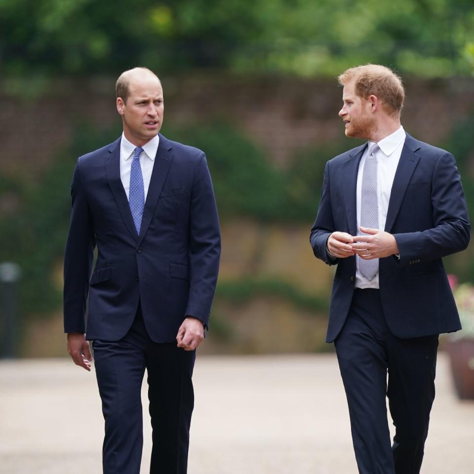 Prince Harry and Prince William