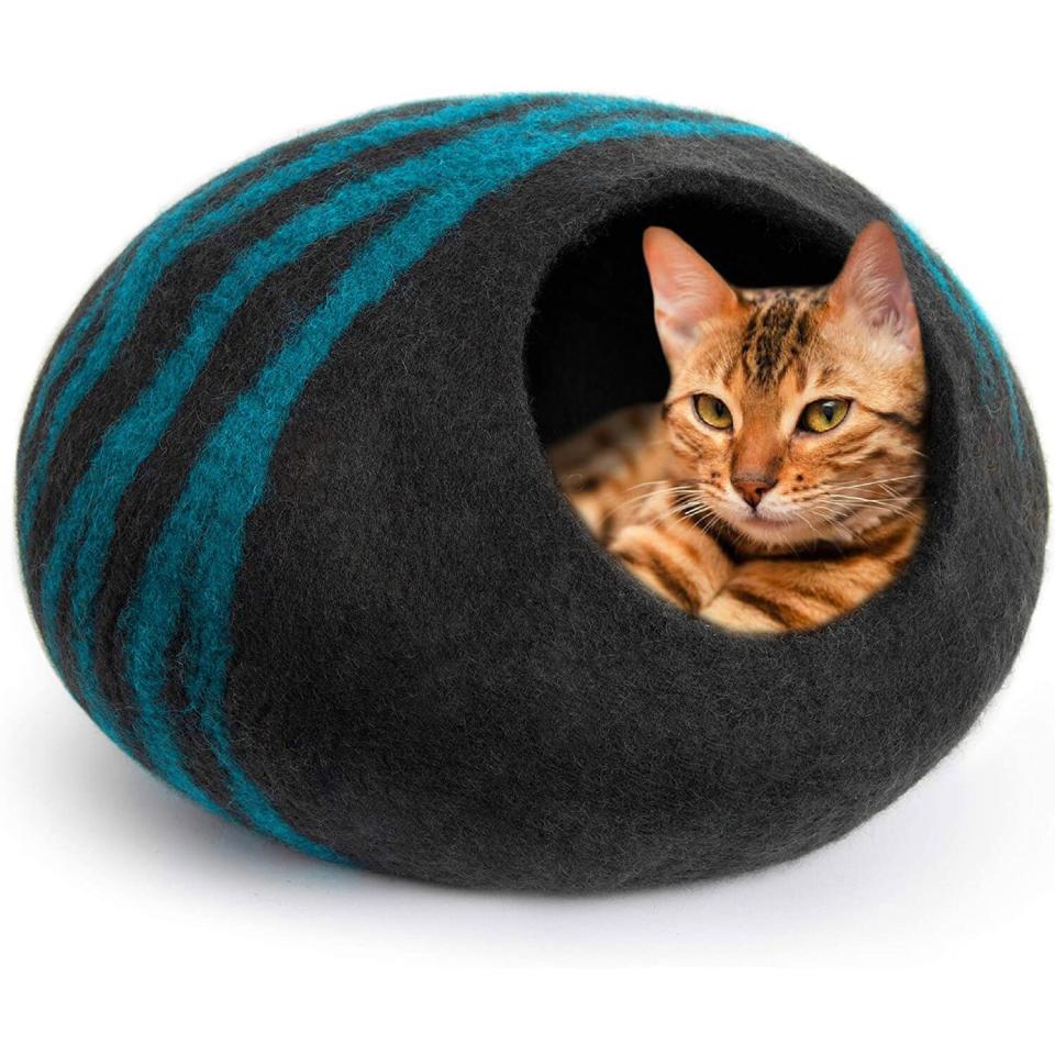 cat bed