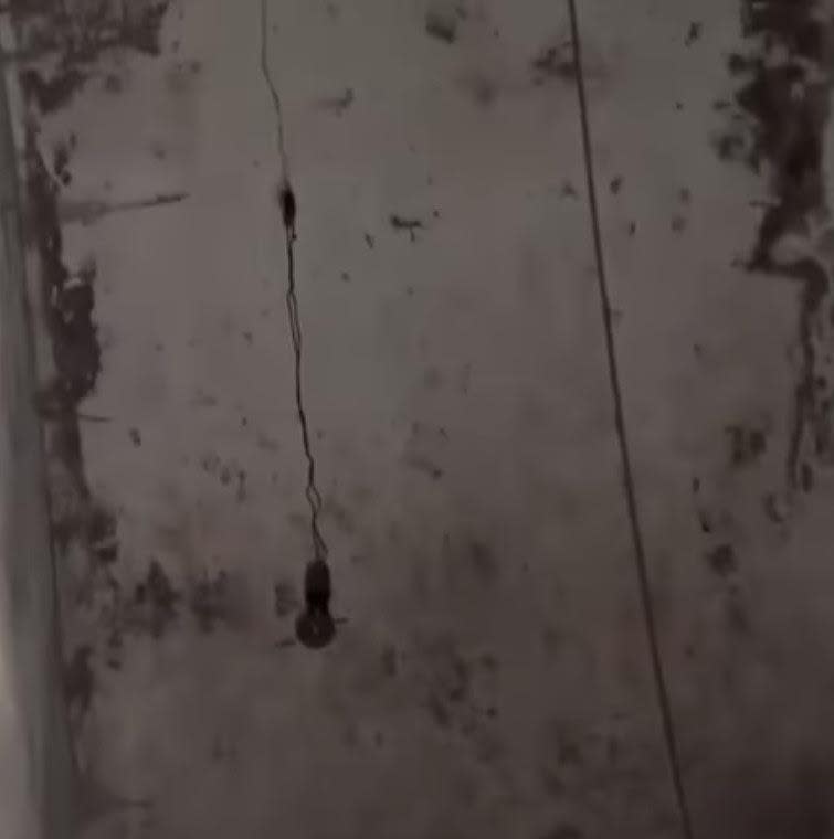 拷問室現場牆上吊著長電線的燈泡。（翻攝推特@The5HbK）
