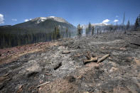 <p>The ground continues to burn as a result from the Buffalo Fire in the Wildernest neighborhood near Silverthorne, Colo., Wednesday, June 13, 2018. A wildfire erupted Tuesday in an area of Colorado known for its ski resorts, forcing the evacuation of more than 1,300 homes and marking the latest in a series of blazes that have ignited in the drought-stricken U.S. West. (Photo: Hugh Carey/Summit Daily News via AP) </p>