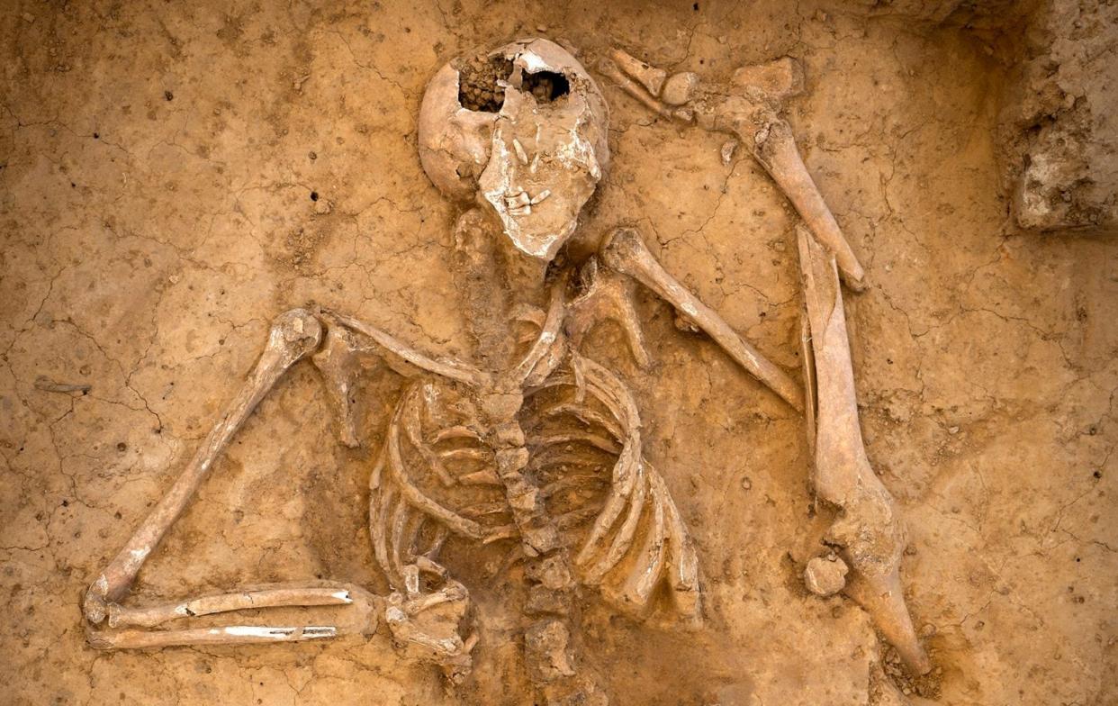 Human remains were found in remarkable condition, with the fallen soldier having avoided the 'Waterloo teeth' phenomenon - chris van houts@me.com 