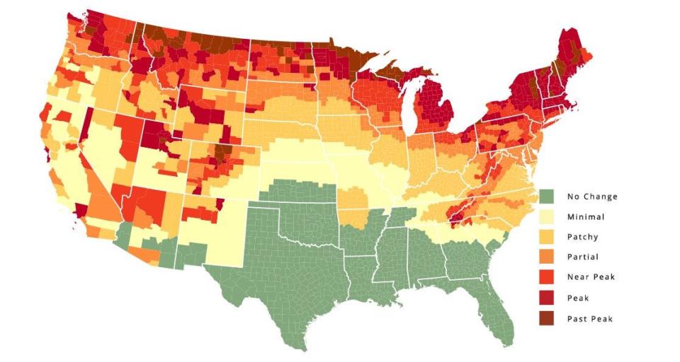 This map from SmokyMountains.com represents a fall foliage prediction for the week of Oct. 9.