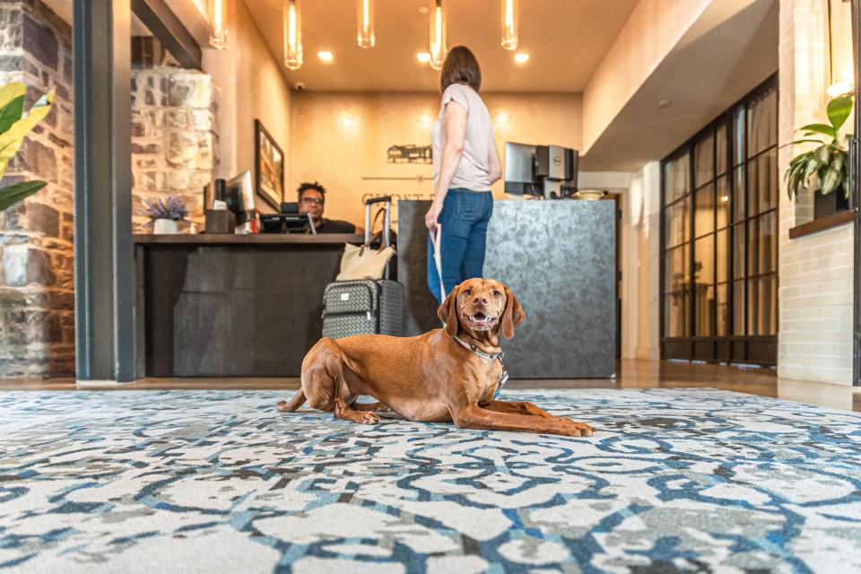 Celebrate Dog Appreciation Month this April by treating your pup to a staycation in New Hope at the Ghost Light Inn and Stella's of New Hope.