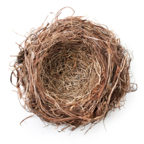 Empty Nest