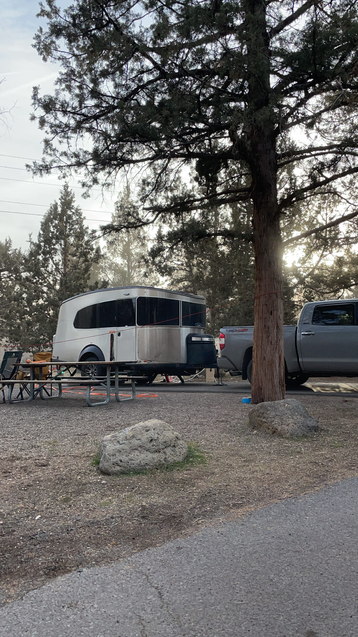 camping with dogs