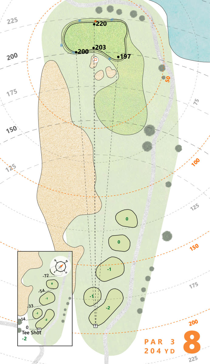 Puttview TPC Twin Cities