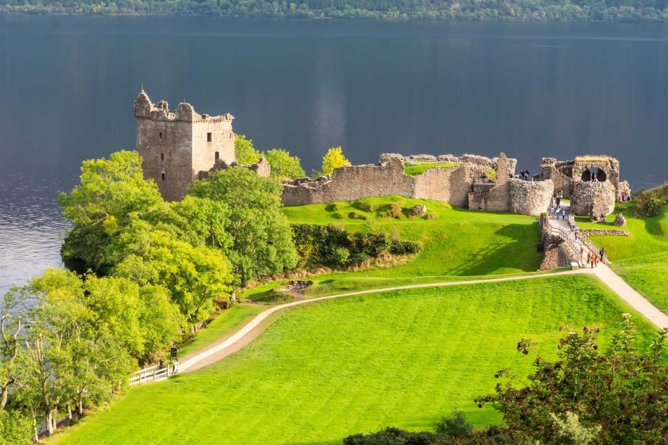 View of Loch Ness and ruined Urquhart castle, with vegetation.