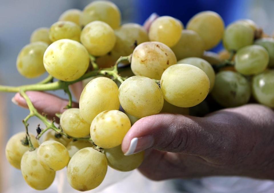 Los agricultores del Valle de San Joaquín disuaden a la gente de detenerse a recoger un racimo de uvas –o cualquier otro cultivo– y le piden dirigirse en su lugar a un puesto de fruta o a una tienda de comestibles. El robo a las cosechas ha sido un delito difícil de perseguir debido a la dificultad de vigilar miles de hectáreas, dicen los agricultores y las fuerzas del orden.