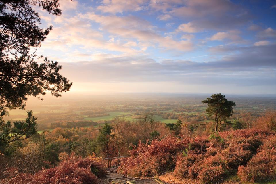 Views from Leith Hill - getty