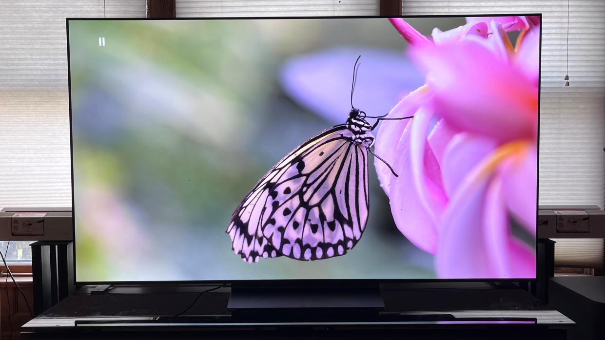  LG C3 OLED TV showing image of pink butterfly onscreen. 