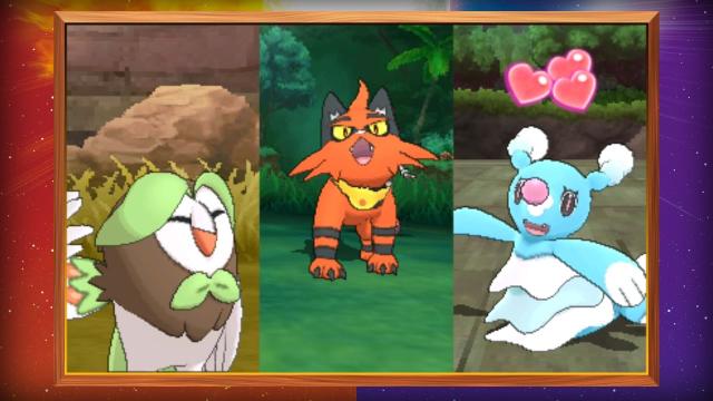 New Starters Evolutions