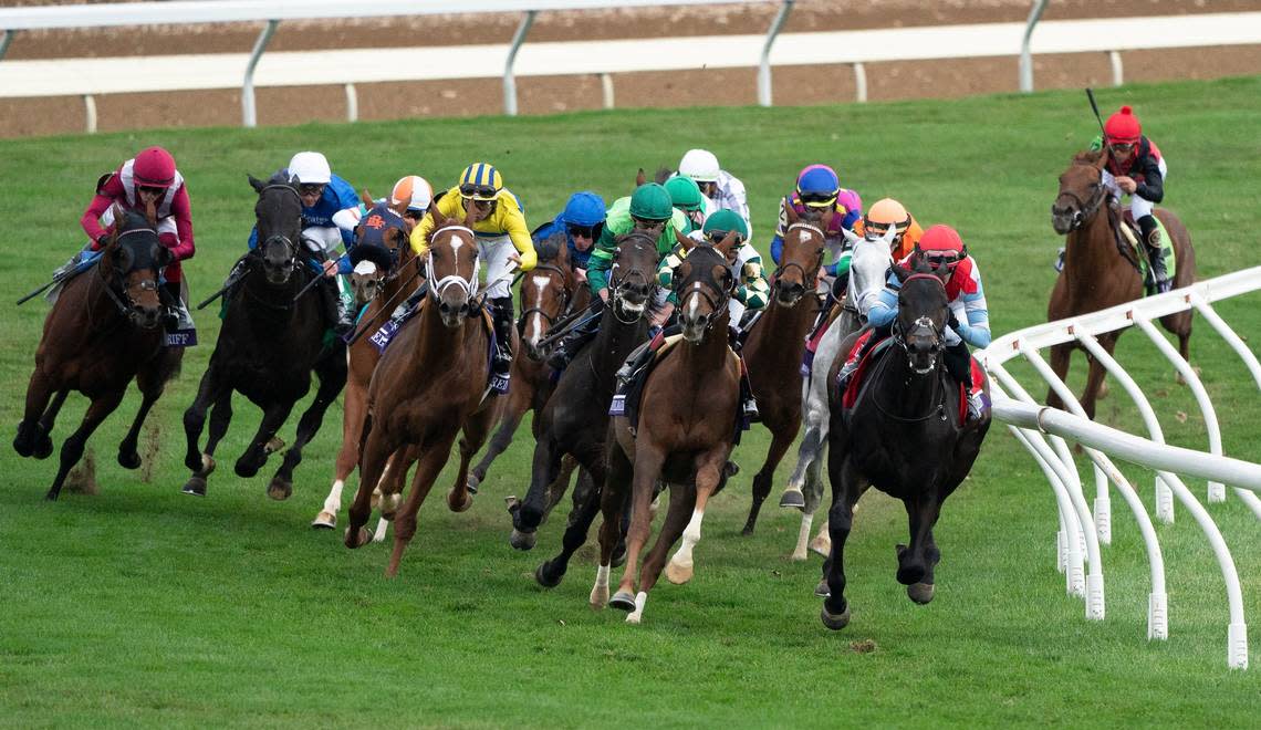 Rebel’s Romance, second from left, came from the outside on the fourth turn to win the Breeders’ Cup Turf at the Breeders’ Cup World Championships at Keeneland Race Course in Lexington, KY on Saturday, November 5, 2022.