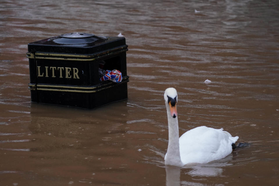 A swan passes a litter bin after the river Severn burst its banks in Worcester. The Met Office has issued an amber weather warning for Storm Henk, which is forecast to bring gusts of up to 80mph to parts of the UK. Picture date: Tuesday January 2, 2024. (Photo by Jacob King/PA Images via Getty Images)